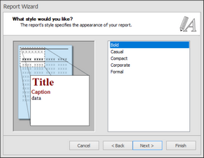 dlg_new_standard_report_wizard_style_zoom45