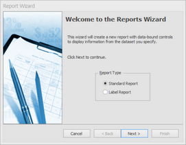 dlg_new_standard_report_wizard_zoom42