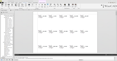 env_report_zoom21